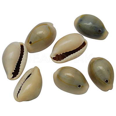 Natural Cowrie Shell Pendants BSHE-S050-1