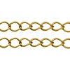 Iron Side Twisted Chains CH-S088-G-LF-1
