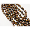 Natural Bronzite Beads Strands G-Q605-26-2