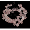 Natural Rose Quartz Beads Strands G505-034-1
