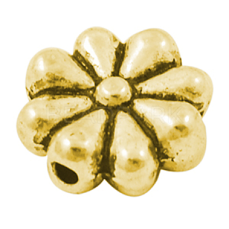 Tibetan Style Alloy Beads GLF9272Y-1