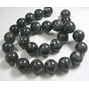 Natural Larvikite Beads Strands GSR14mmC128-2