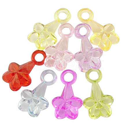 Transparent Acrylic Pendants PAB203Y-1