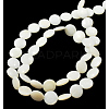 Natural Shell Beads Strands PBB-XXBK027Y-13-2