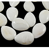 Handmade Natural White Shell Beads Strands PBB261Y-1-1
