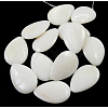 Handmade Natural White Shell Beads Strands PBB261Y-1-2