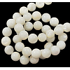 Natural White Shell Beads Strands PBB448Y-1-2
