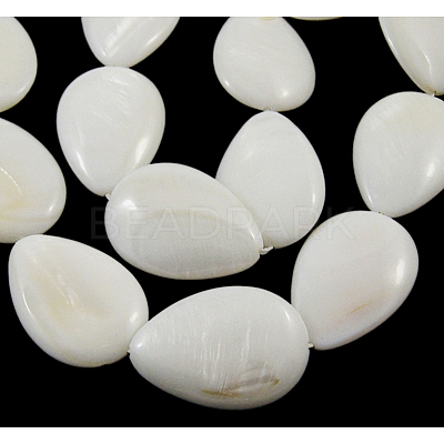Handmade Natural White Shell Beads Strands PBB261Y-1-1