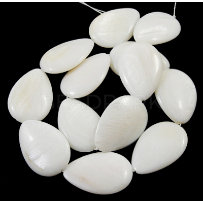 Handmade Natural White Shell Beads Strands PBB261Y-1-1