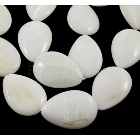 Handmade Natural White Shell Beads Strands PBB261Y-1-1
