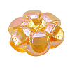 Transparent Acrylic Beads PL538-23-1