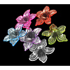 Transparent Acrylic Beads PL674Y-1