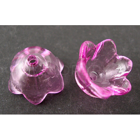 Transparent Acrylic Beads PL548-6-1