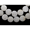 Natural Freshwater Shell Beads S00C20A2-1