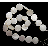Natural Freshwater Shell Beads S00C20A2-2