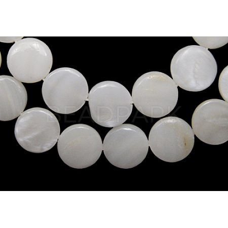 Natural Freshwater Shell Beads S00C20A2-1