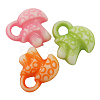 Colorful Acrylic Charms Y0ZSB011-1-1