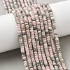Natural Rhodonite Beads Strands G-A299-A24-01-1