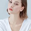 16Pcs 2 Colors Flat Round 304 Stainless Steel Barbell Cartilage Earrings EJEW-BBC0001-63-5