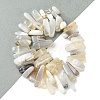 Natural Grey Agate Beads Strands G-G117-C06-01-2
