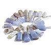 Natural Blue Lace Agate Beads Strands G-M406-C01-4