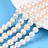 Natural Cultured Freshwater Pearl Beads Strands X-PEAR-N013-17N-01-1