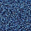 MIYUKI Round Rocailles Beads X-SEED-G007-RR1025-3