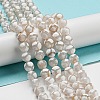 Tibetan Style dZi Beads Strands G-P526-D05-01-2