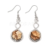 Hexagon Natural Picture Jasper Dangle Earrings EJEW-K298-01P-11-4