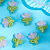 12Pcs Handmade Lampwork Beads LAMP-PA0001-03B-7
