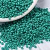 MIYUKI Round Rocailles Beads X-SEED-G008-RR0412-1