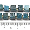 Natural Apatite Beads Strands G-G053-B18-04-5