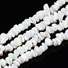Natural Freshwater Shell Beads Strands SHEL-N003-23-A01-1