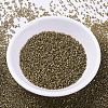 MIYUKI Delica Beads X-SEED-J020-DB0288-2
