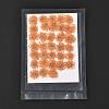 Pressed Dried Flowers DIY-K032-58K-1