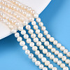 Natural Cultured Freshwater Pearl Beads Strands PEAR-N013-04F-1