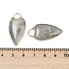 Natural Labradorite Pendants G-G193-02G-05-3
