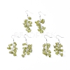 Dangle Earrings EJEW-E255-A11-2
