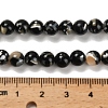 Assembled Synthetic Stone and Trochus Shell Beads Strands G-B128-08B-04-4