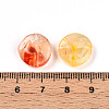 Transparent Acrylic Beads TACR-T028-41E-4
