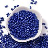 Baking Paint Glass Seed Beads SEED-L011-12A-11-2