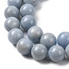 Natural Angelite Beads Strands G-G840-03-10mm-4