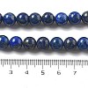 Natural Lapis Lazuli Beads Strands G-P348-01-8mm-4