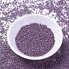 MIYUKI Delica Beads SEED-X0054-DB1173-2