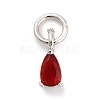 Brass Micro Pave Cubic Zirconia Charms KK-H527-13P-01-1