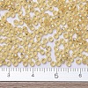 MIYUKI Round Rocailles Beads SEED-G007-RR0002-4