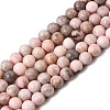 Natural Pink Zebra Jasper Beads Strands X-G-P231-01-6mm-2