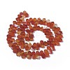 Dyed Natural Agate Beads Strands G-F595-A01-2