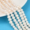 Natural Cultured Freshwater Pearl Beads Strands PEAR-I007-07Y-07A-1