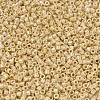 MIYUKI Delica Beads X-SEED-J020-DB1571-3